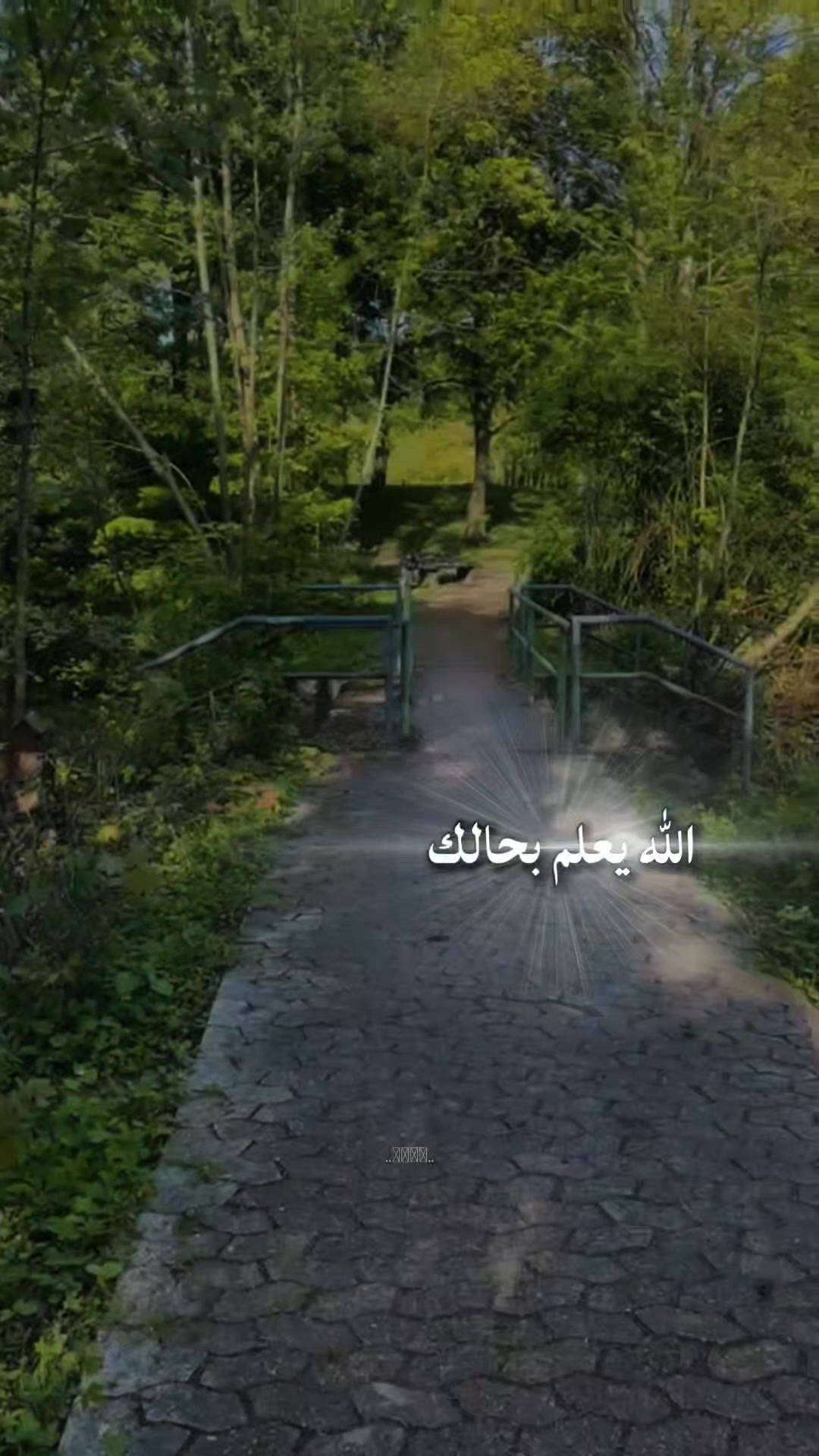 @💫🕊نہوُر ألـقرآنہ🕊💫