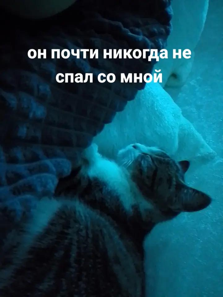 @девка