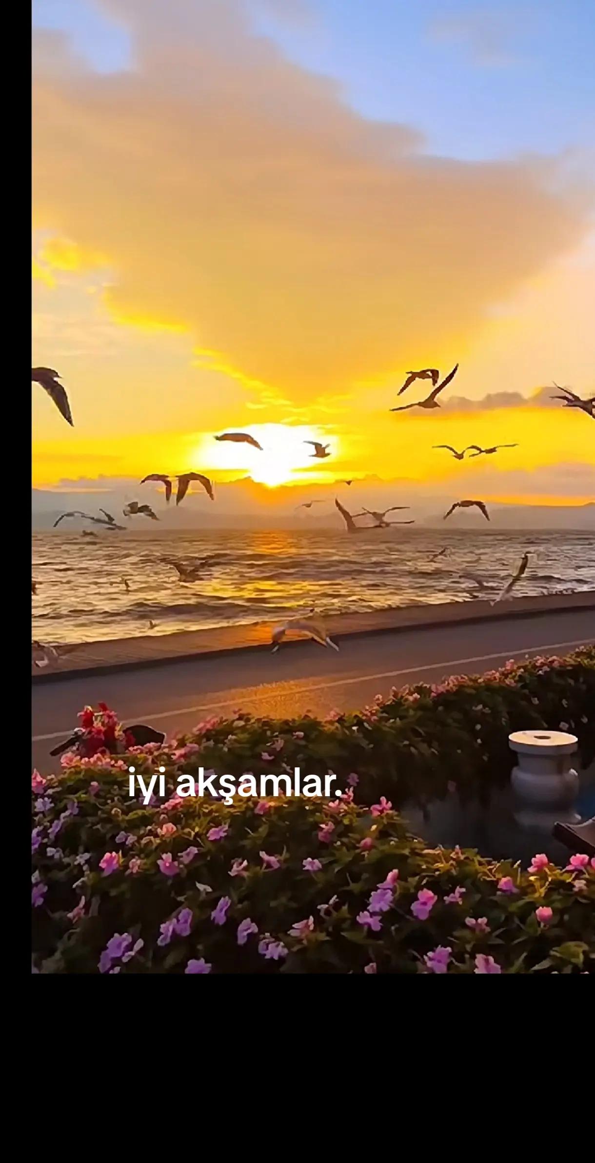 @💙LEYLA❤️ SULTAN 💙