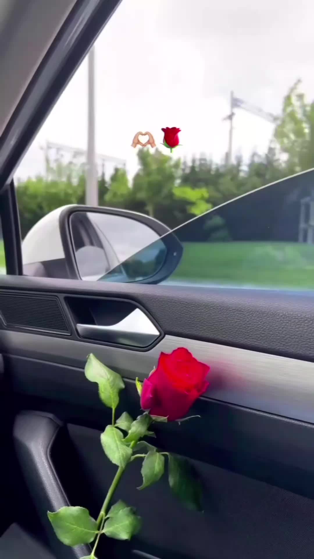 @nour🦋🦋🦋 نور