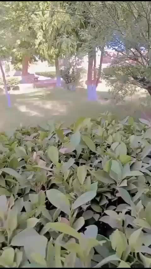 @Ahsan 21