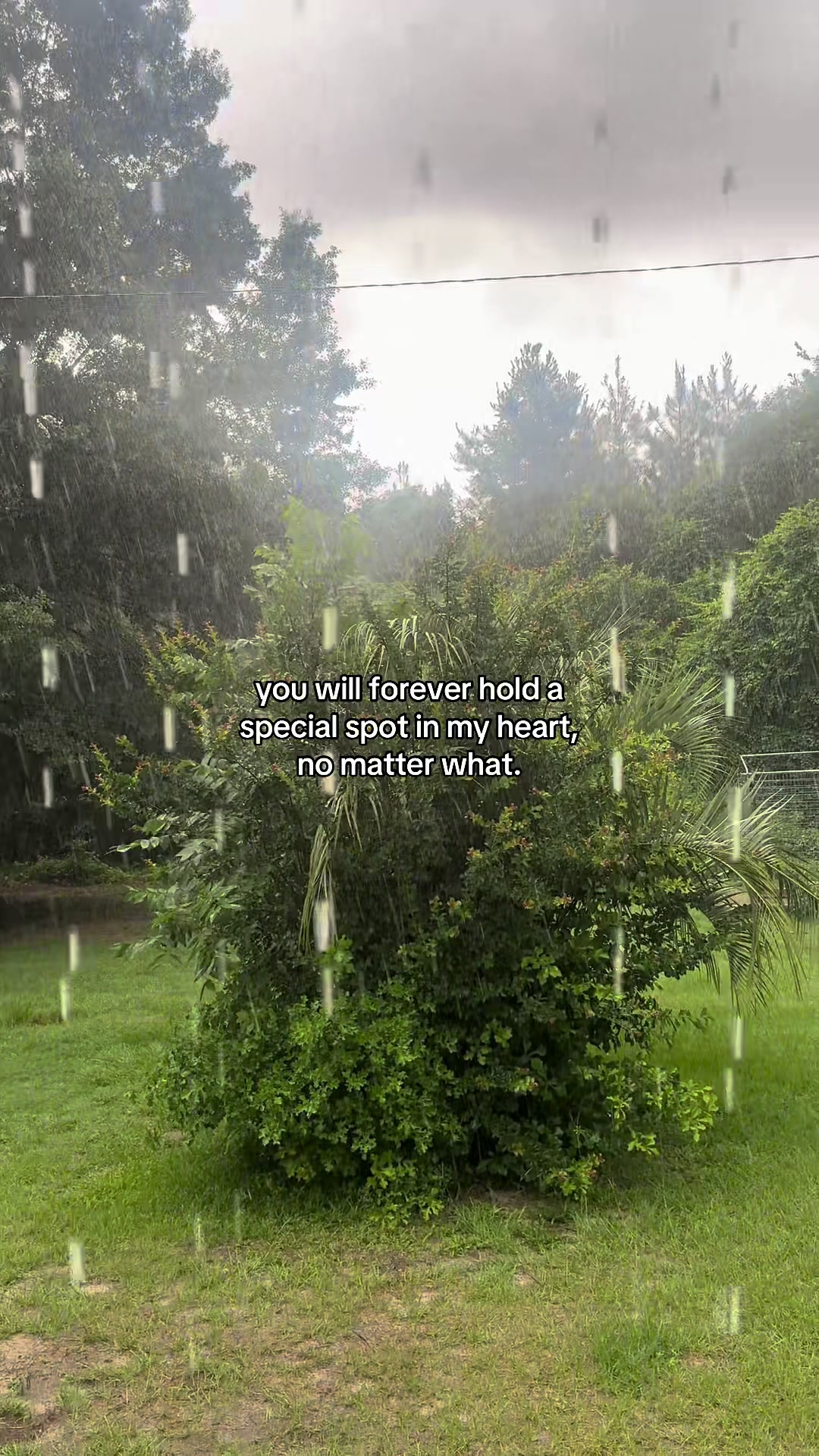 @Notification