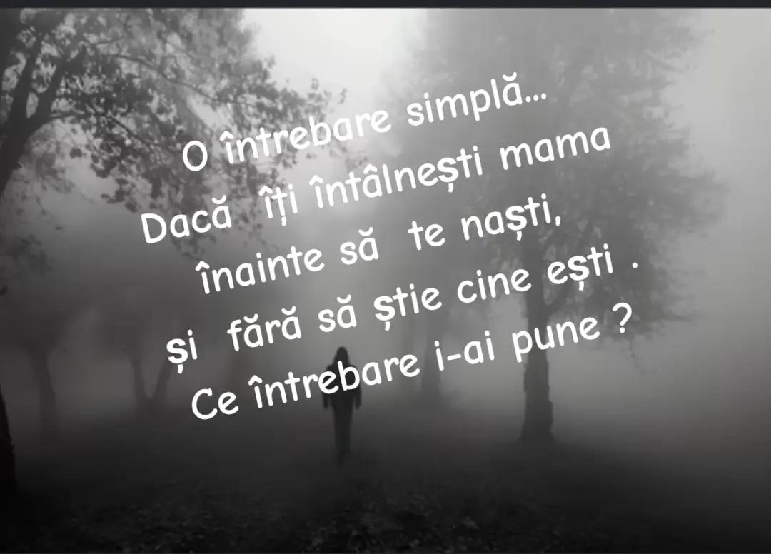 @"...Ștefan..."