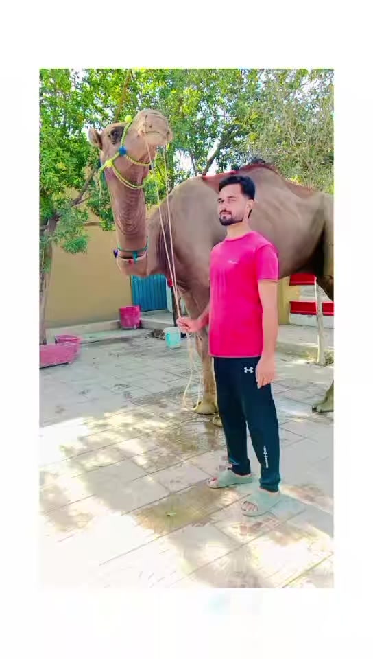 @Rao Aleem