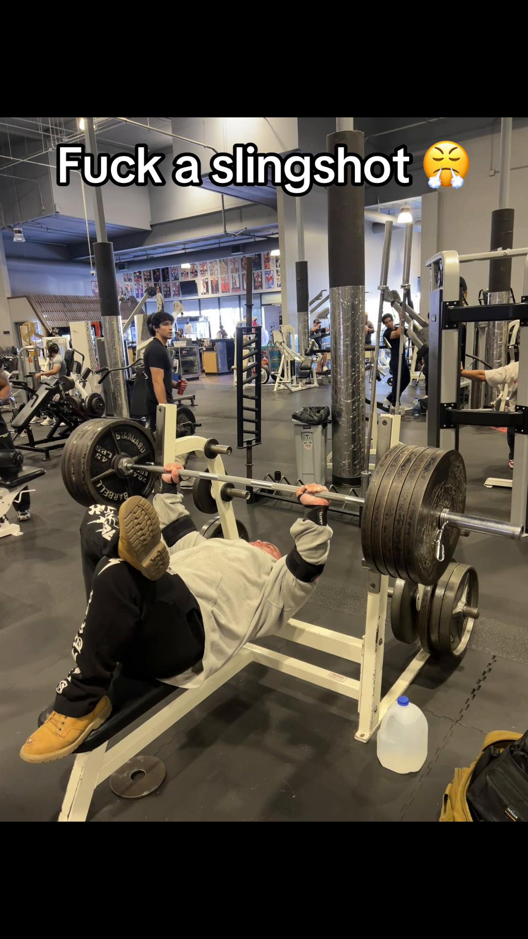 @GORILLA QUINN 🦍🇺🇸