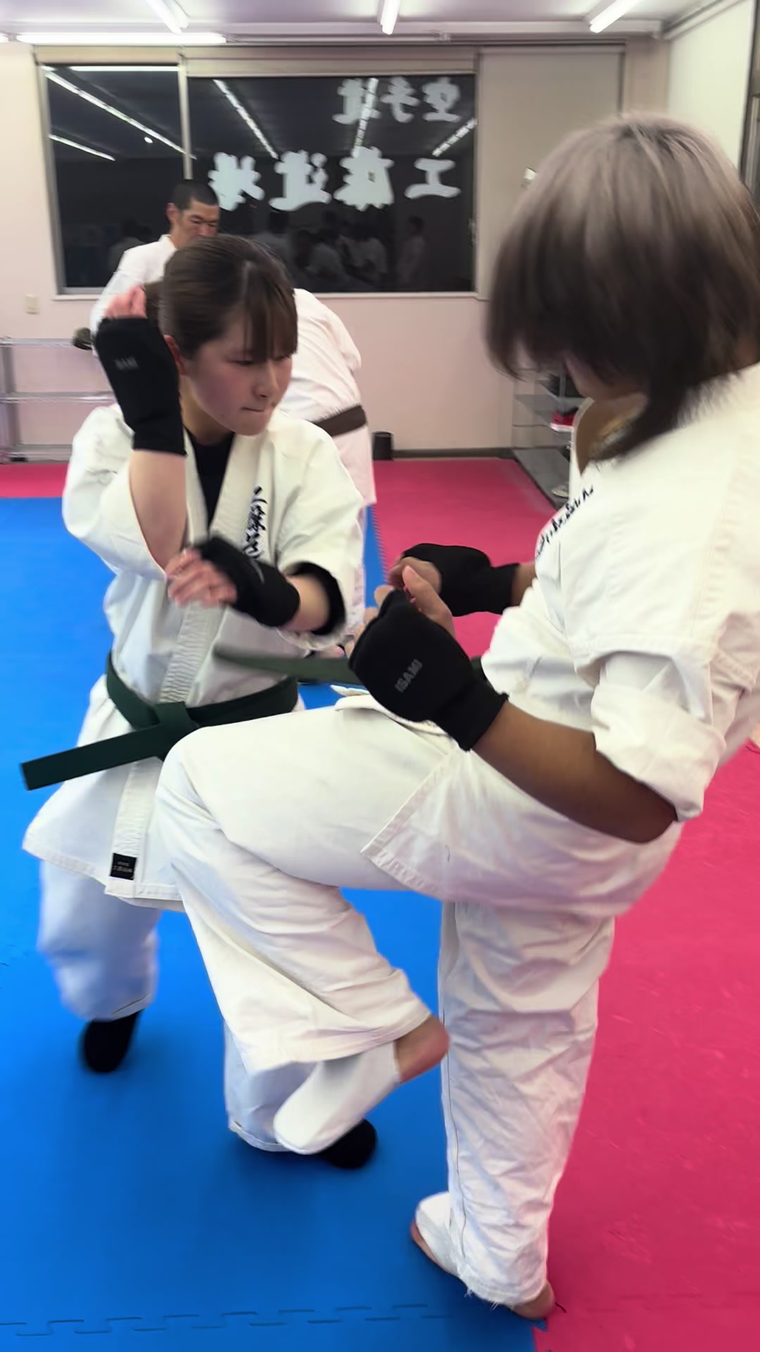 @kudodojo