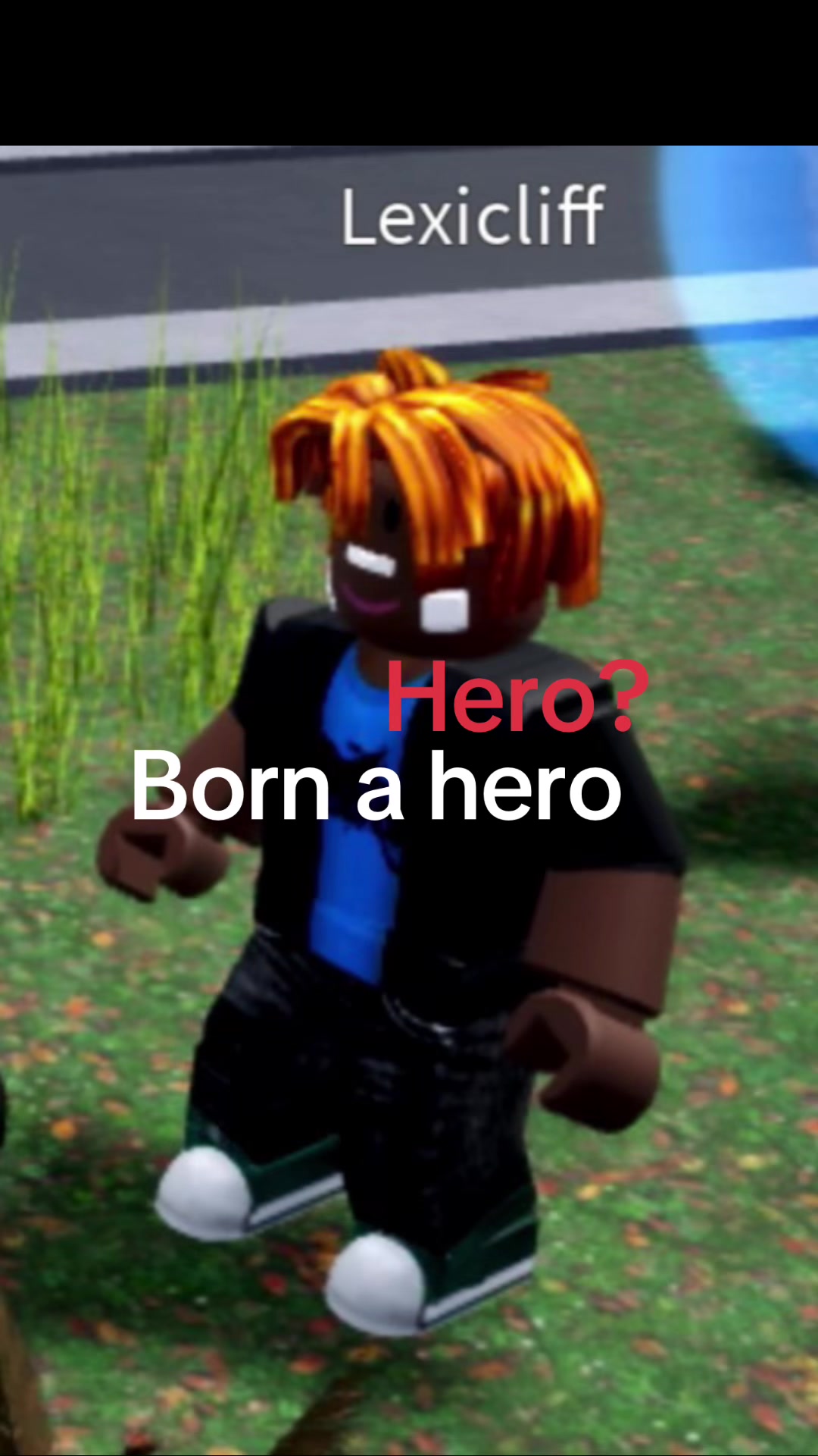 @DesiplaysRoblox