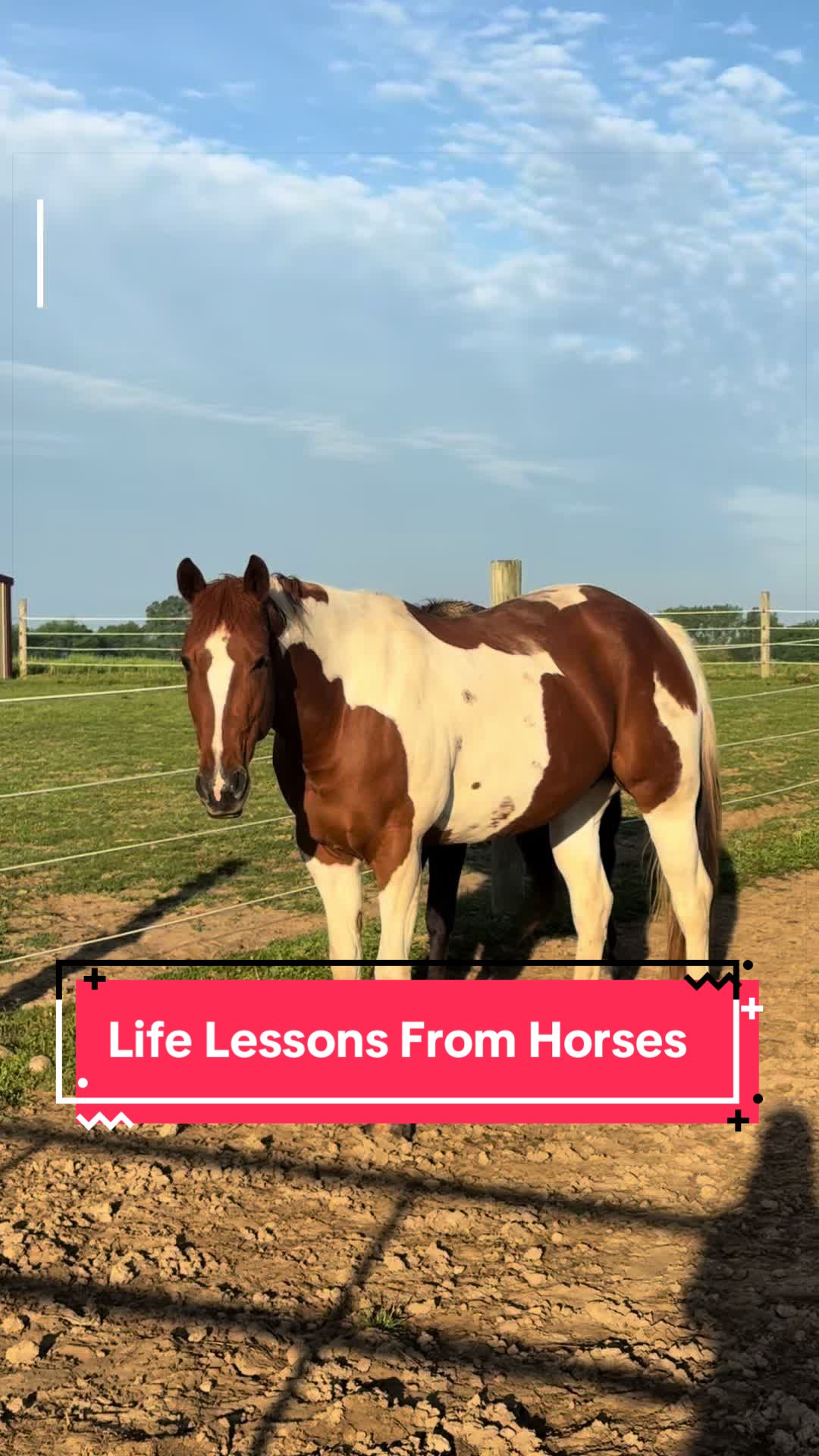 @yourhorseandponyleader