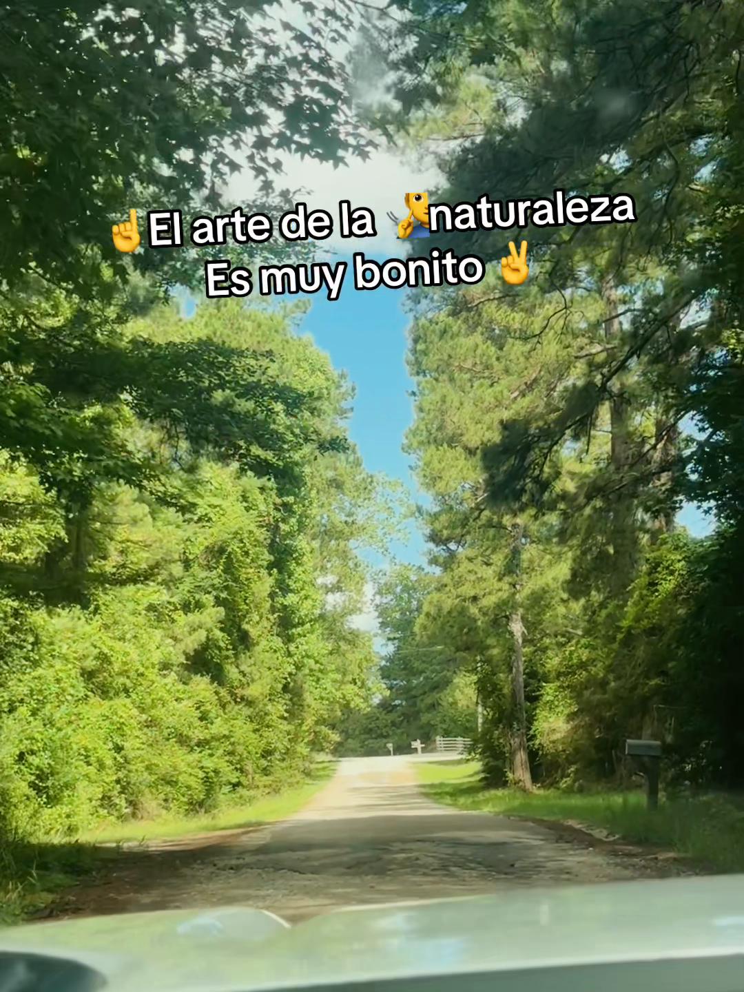 @Marco🦅polo