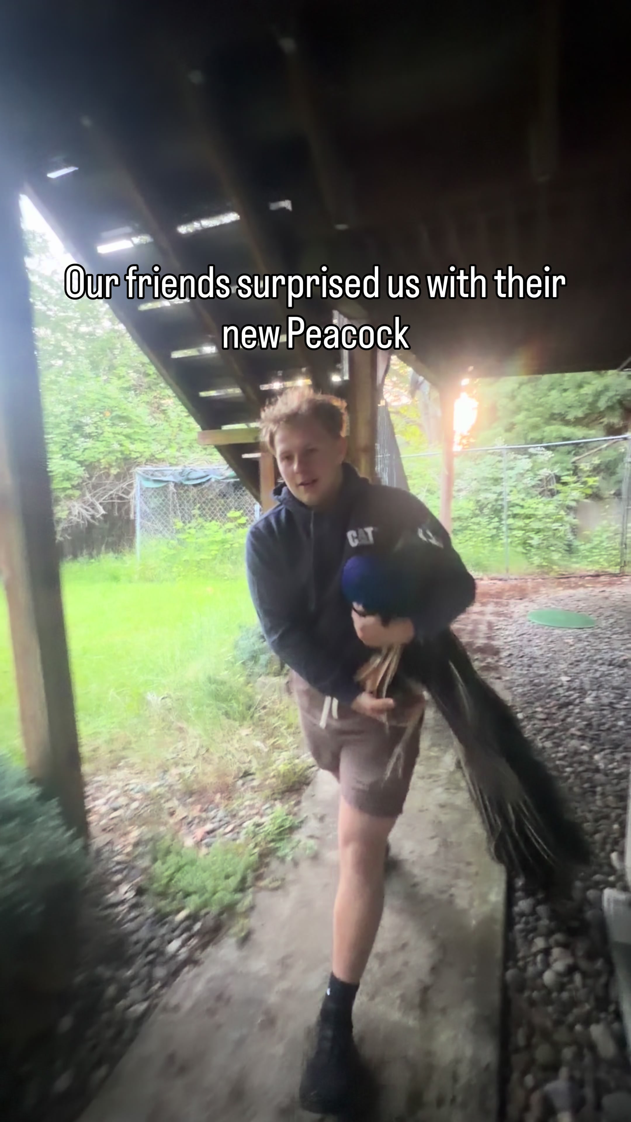 @jonny