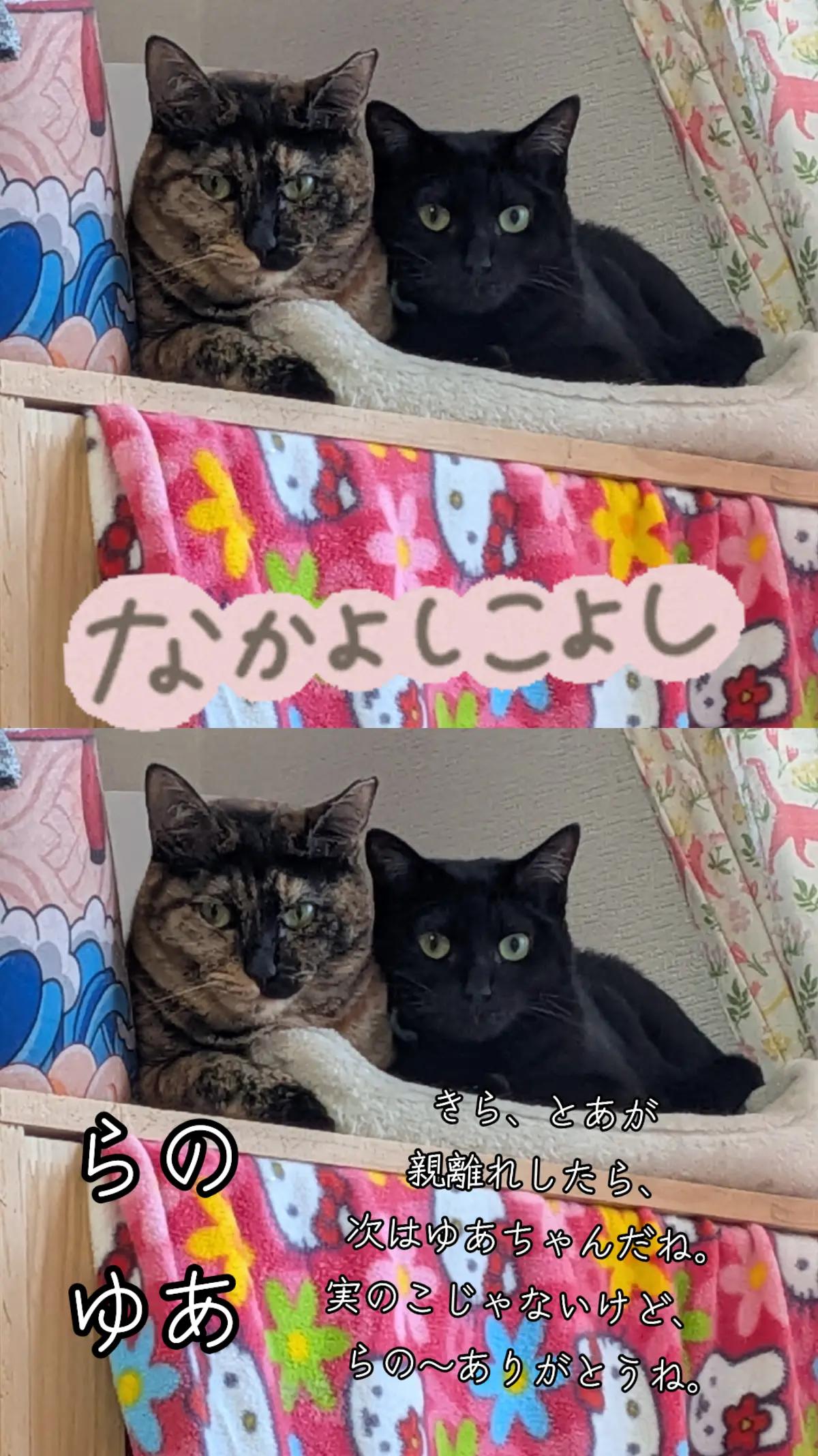 @てんきな