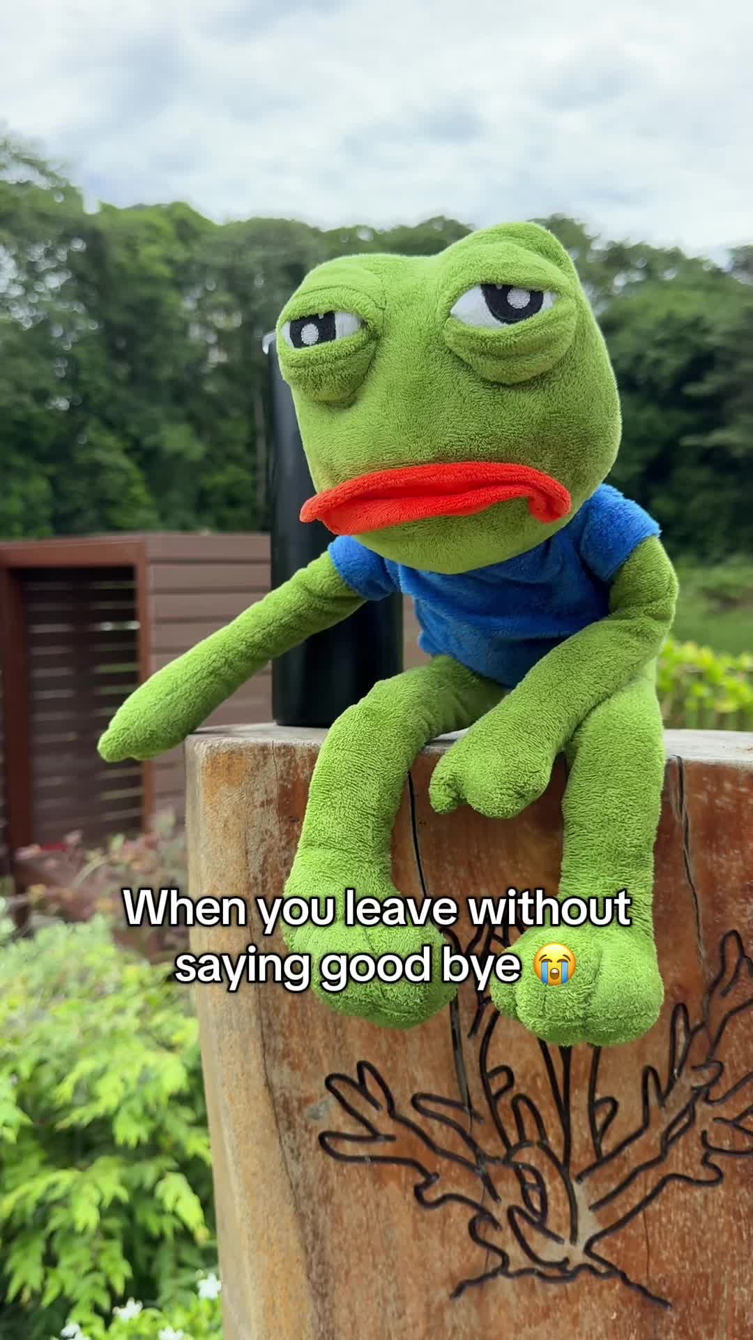 @AdoptAPepe