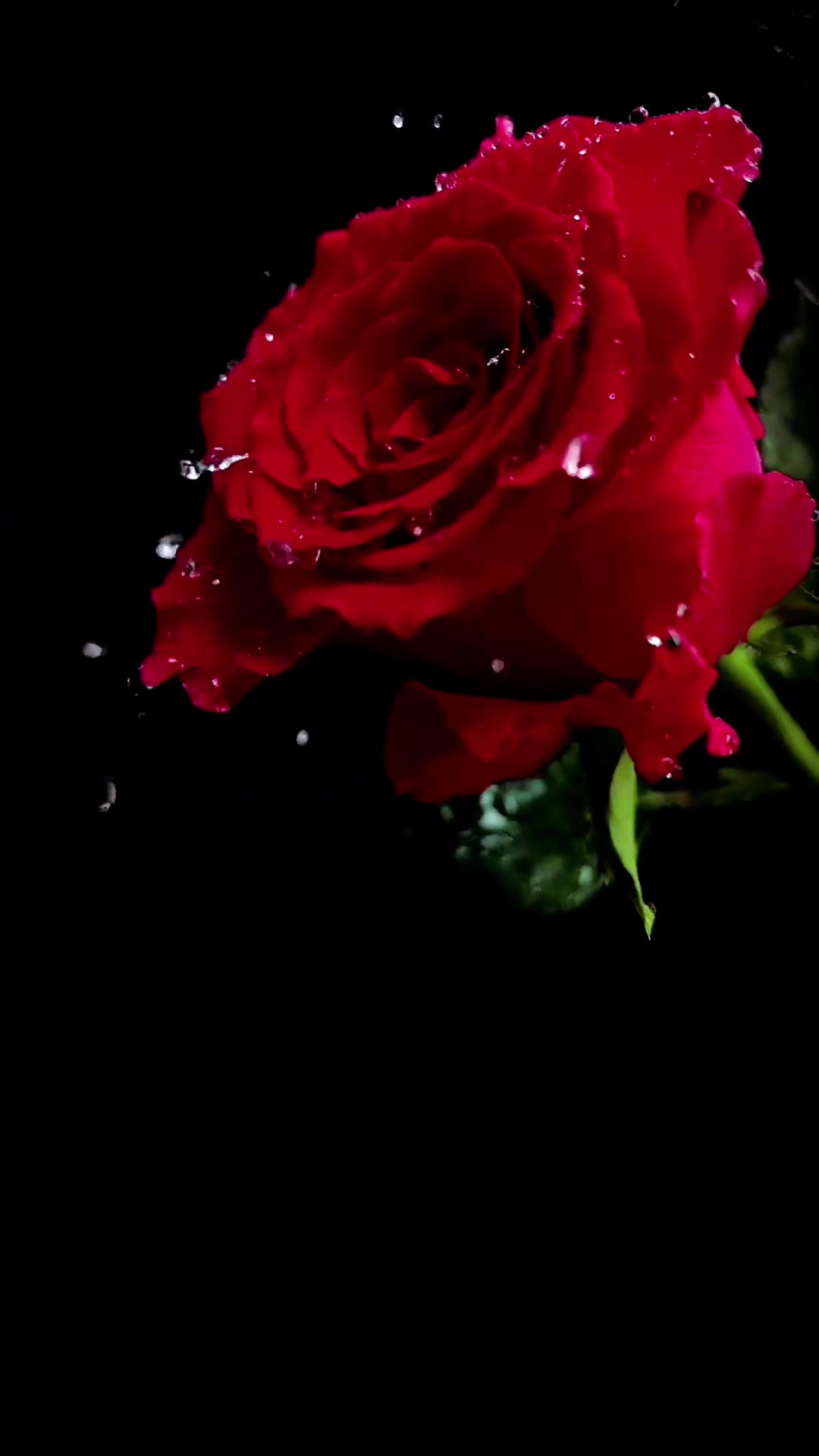 @Mary music