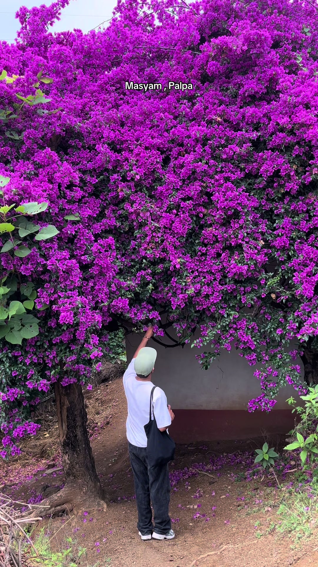 @अनन्त ☘️