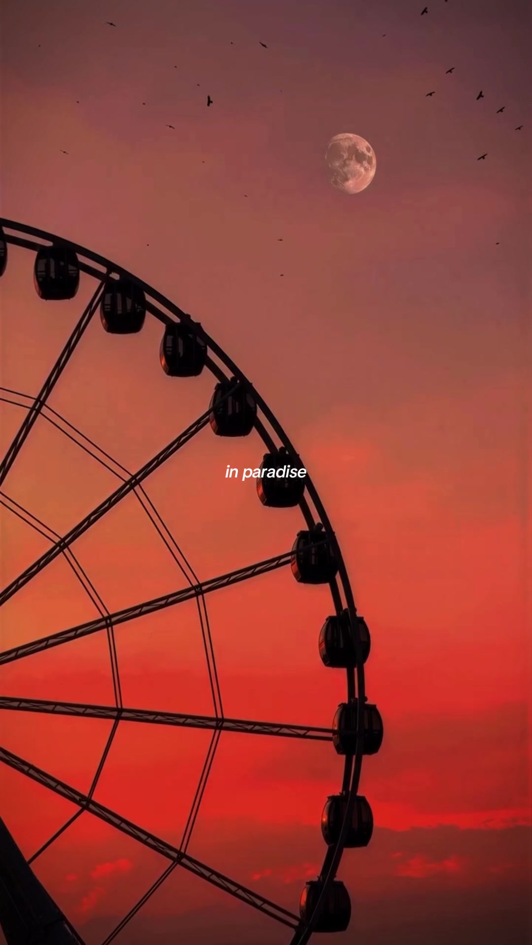 @avlxedits