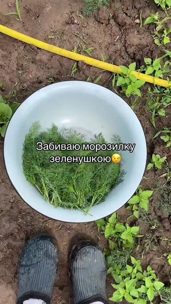 @🇺🇦Сімʼя Зубів🇺🇦