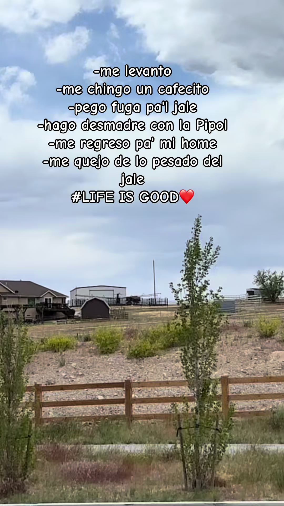 @saysilse