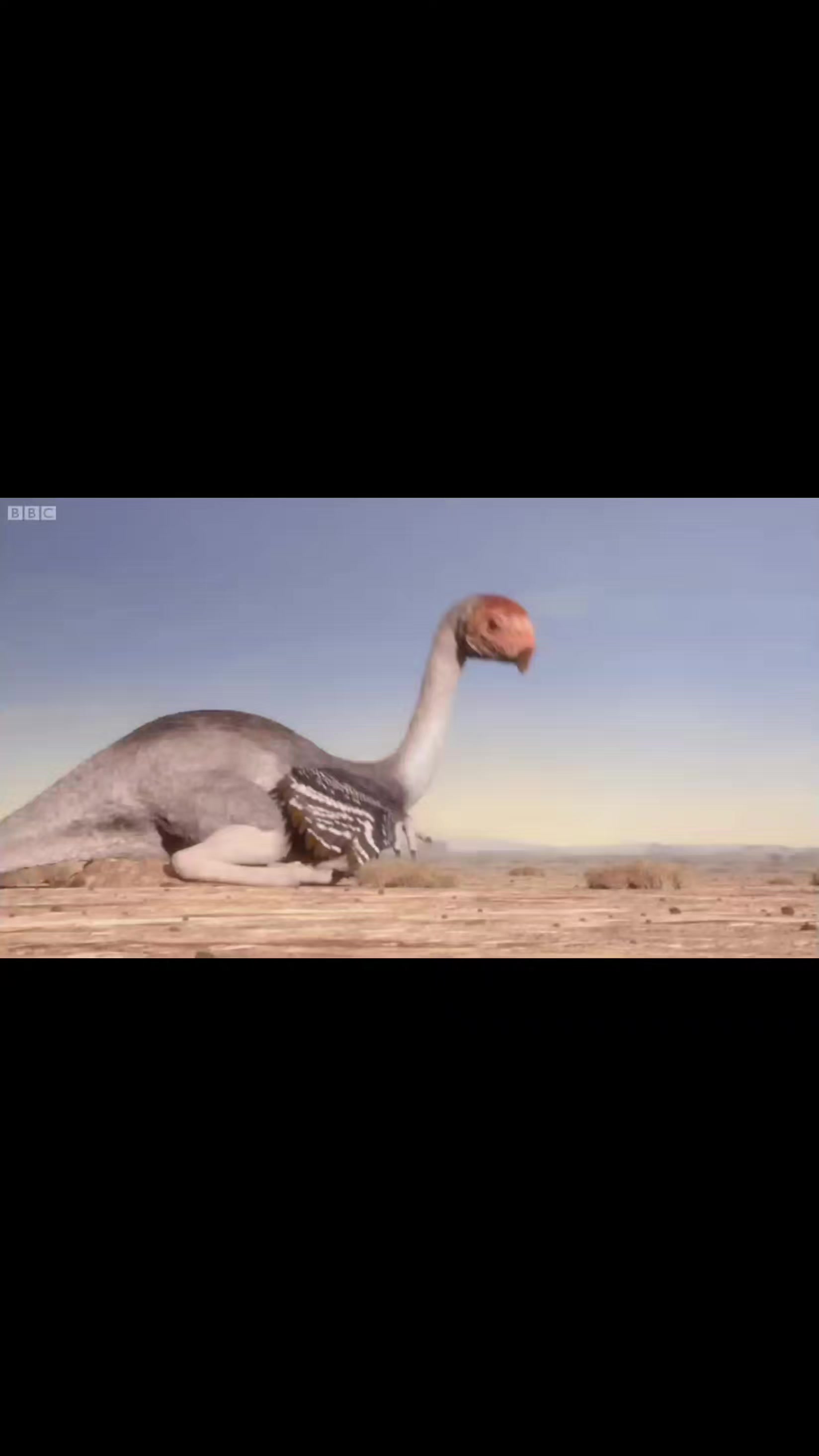 @dani autista especial 🦕🦖💚