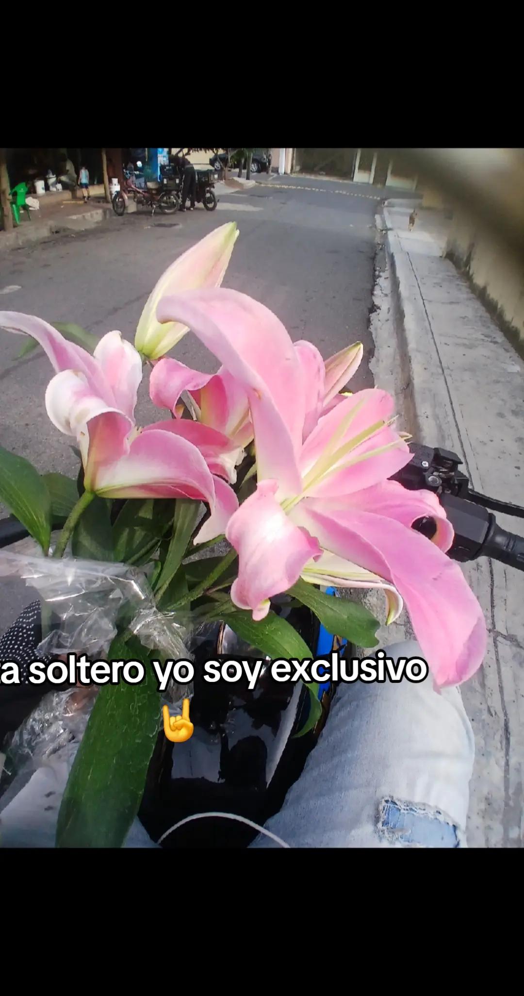 @JORGITO_BAJAJ