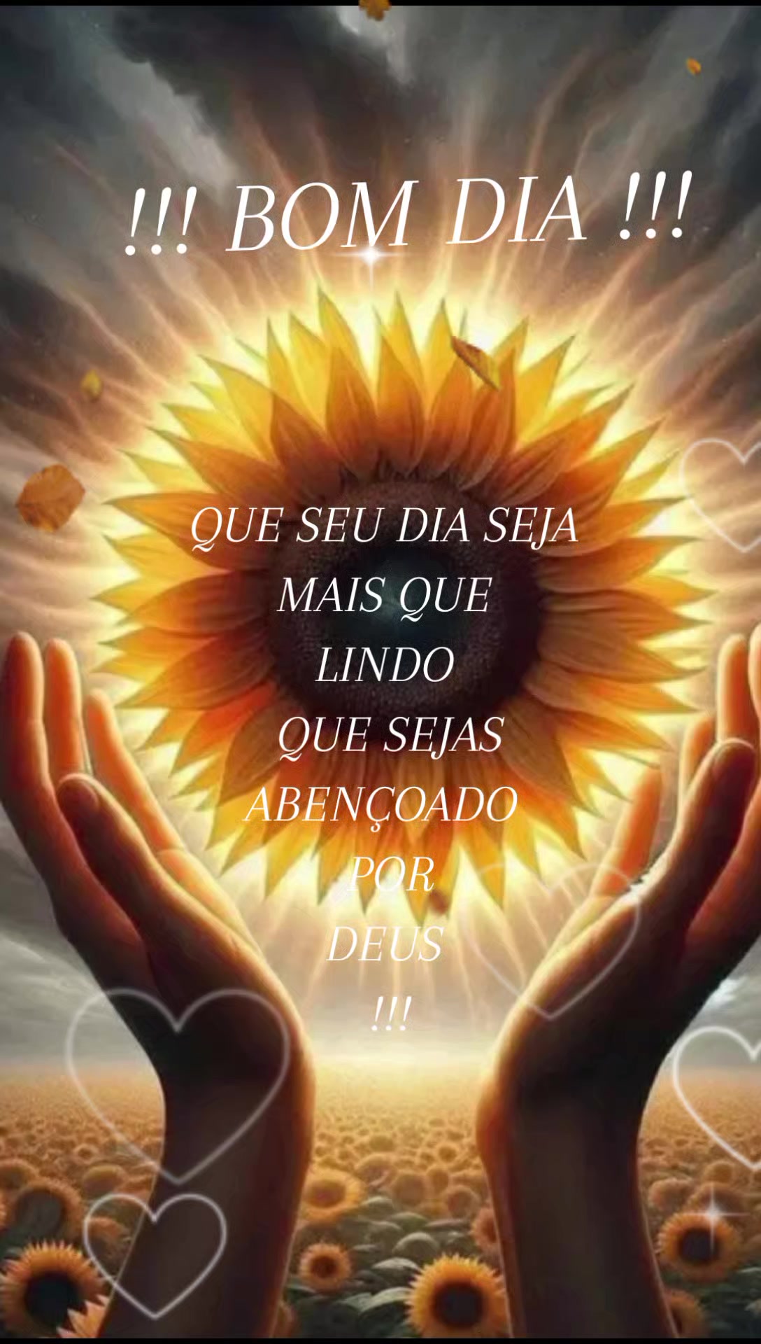 @Olivanir Souza Furtado
