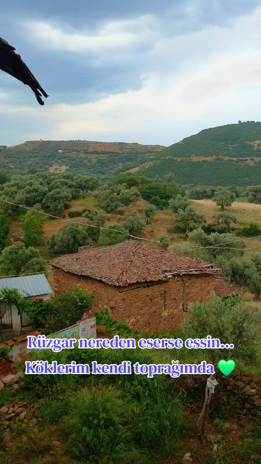 @Ersin Şenol