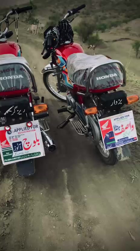@Taunsa city 2619🇵🇰🦅🪖⚔️🗡️
