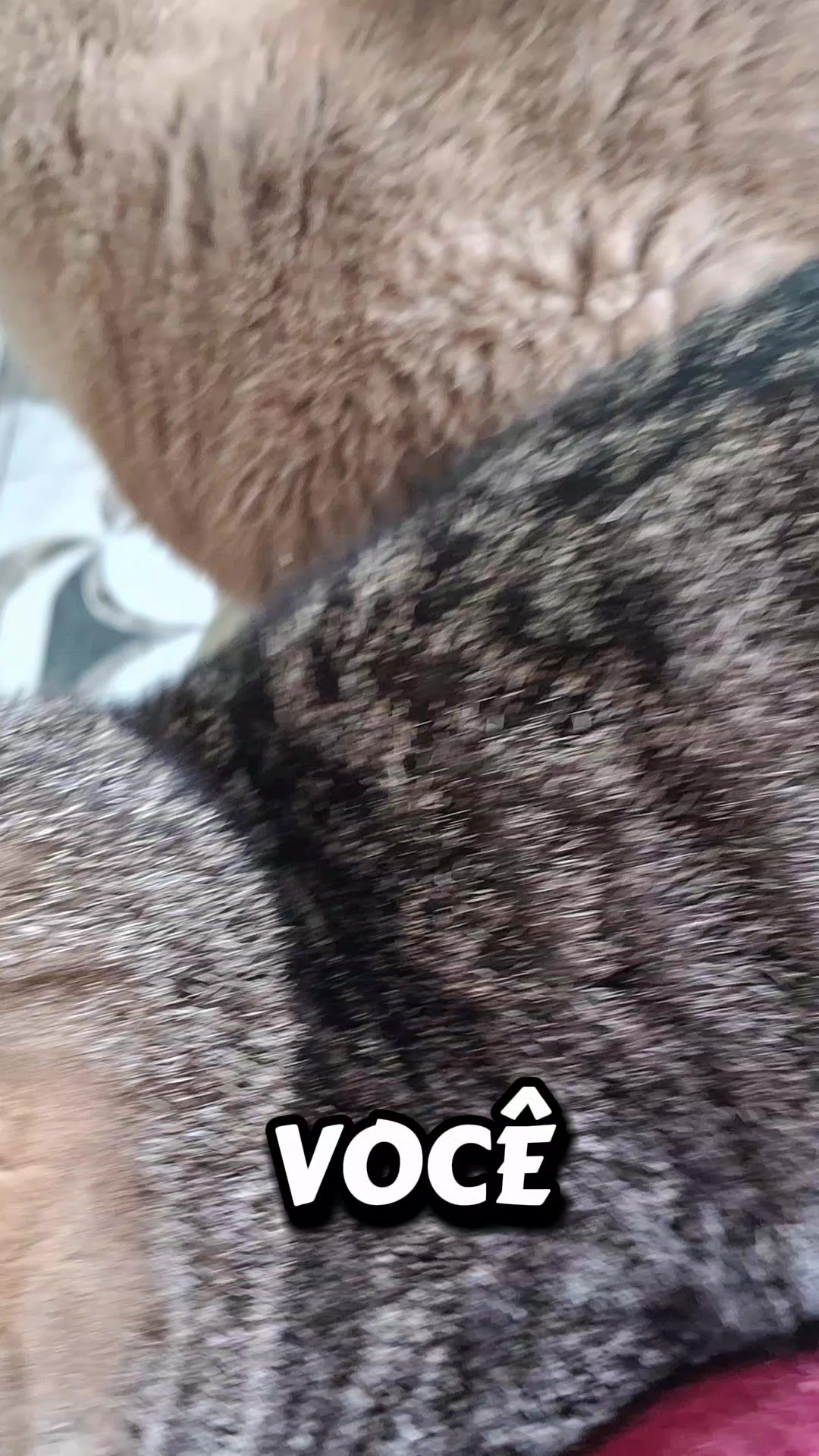 @lua