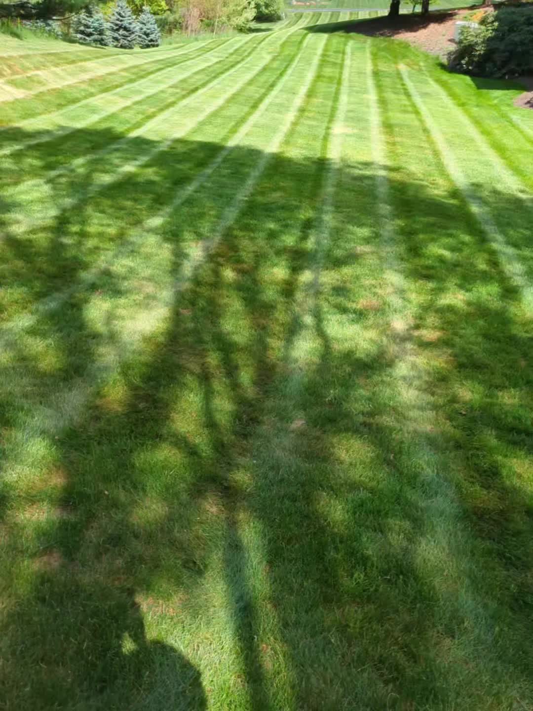 @mulletdingermaster3000