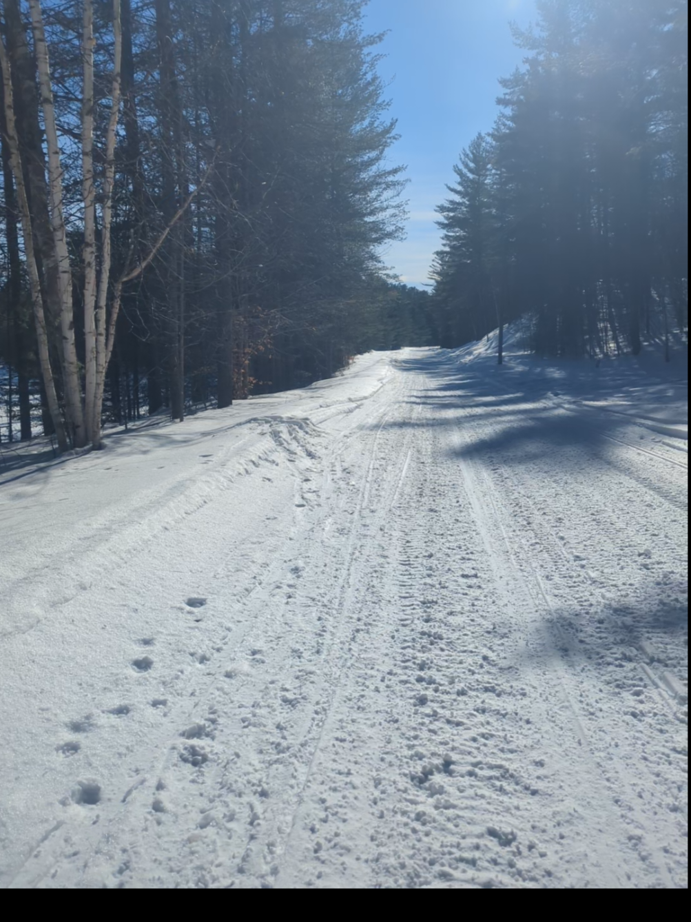 @NYsnowmobile