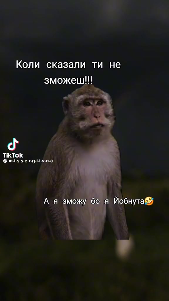 @Ольга Ильчак