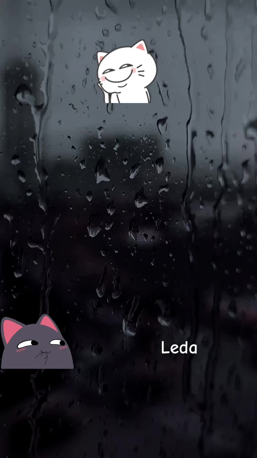 @leda