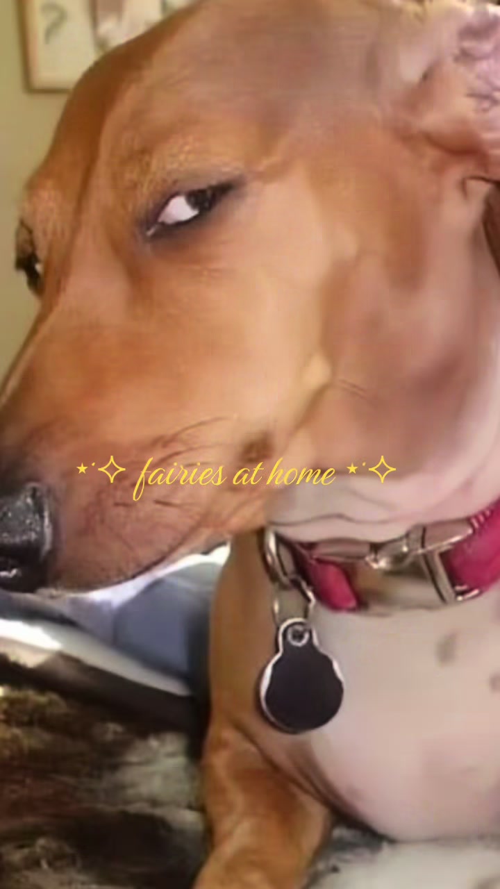 @zita