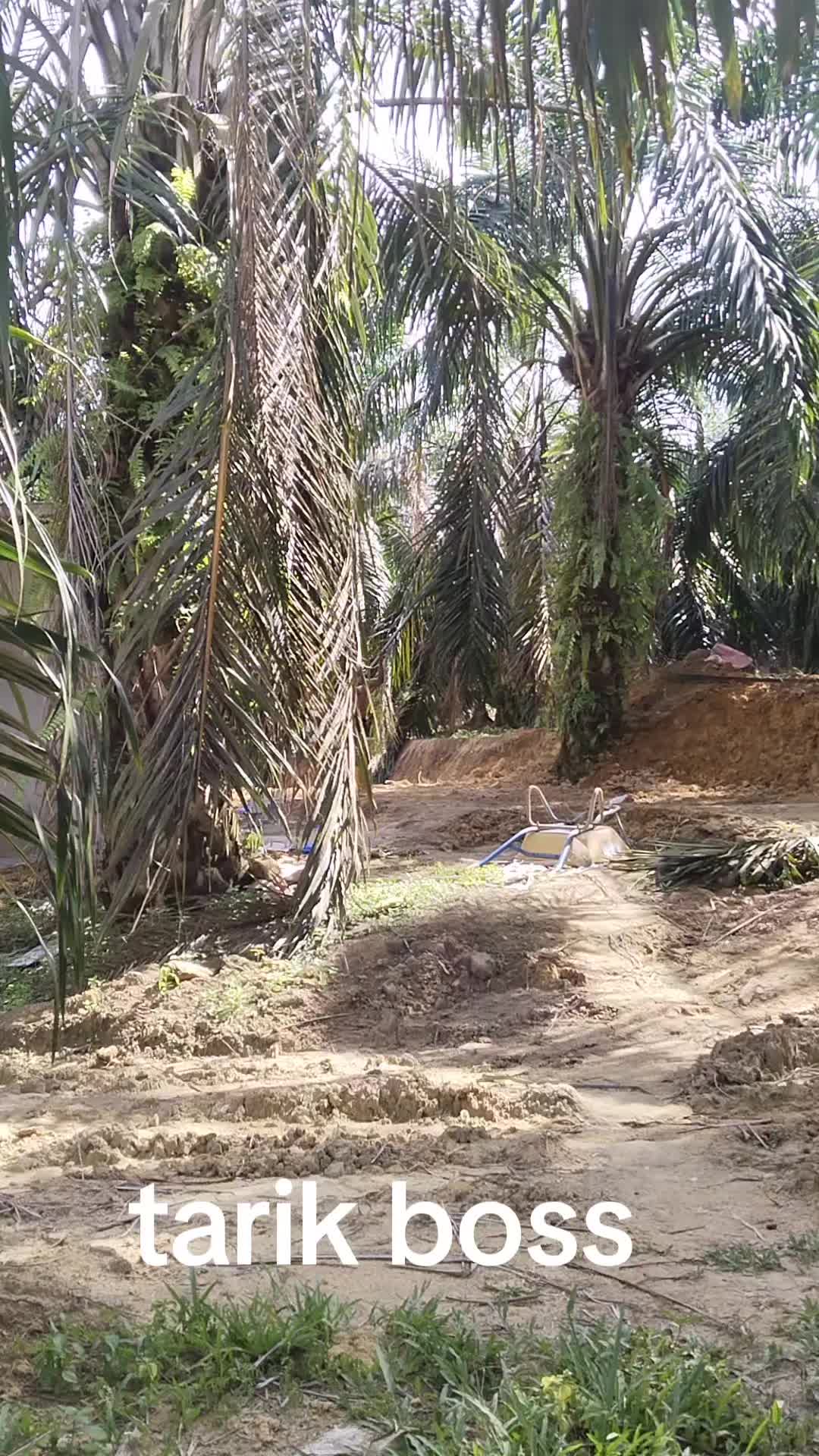@arulalfan8