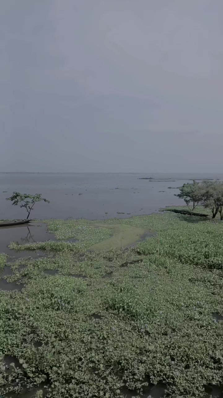 @nila