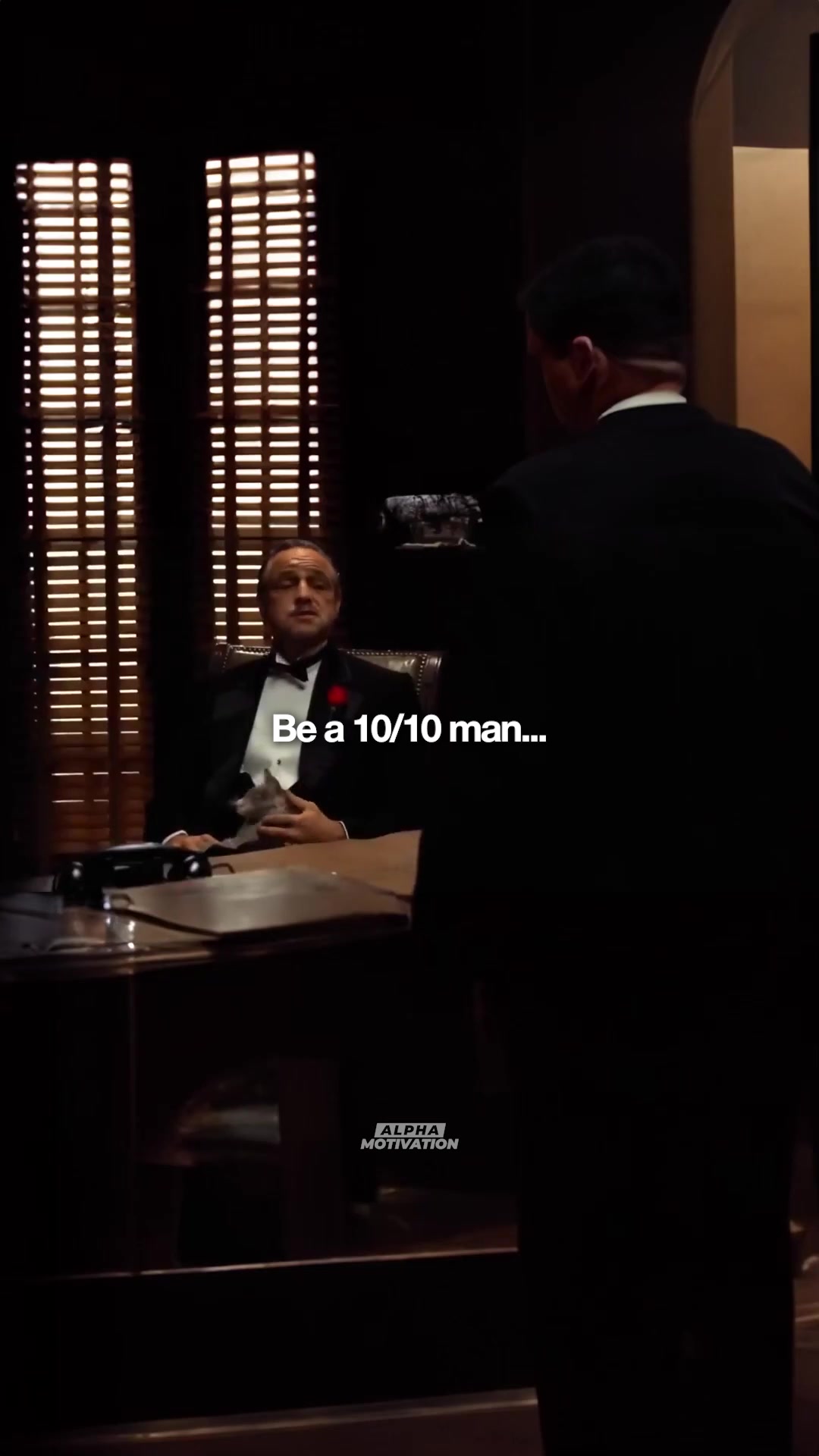 @Alpha Motivation