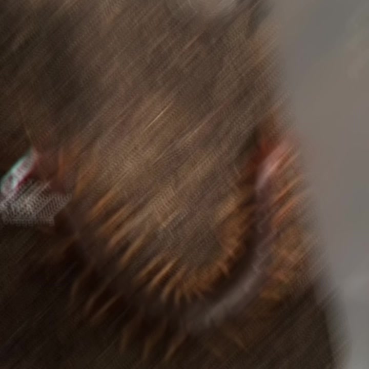 @xenom ✞