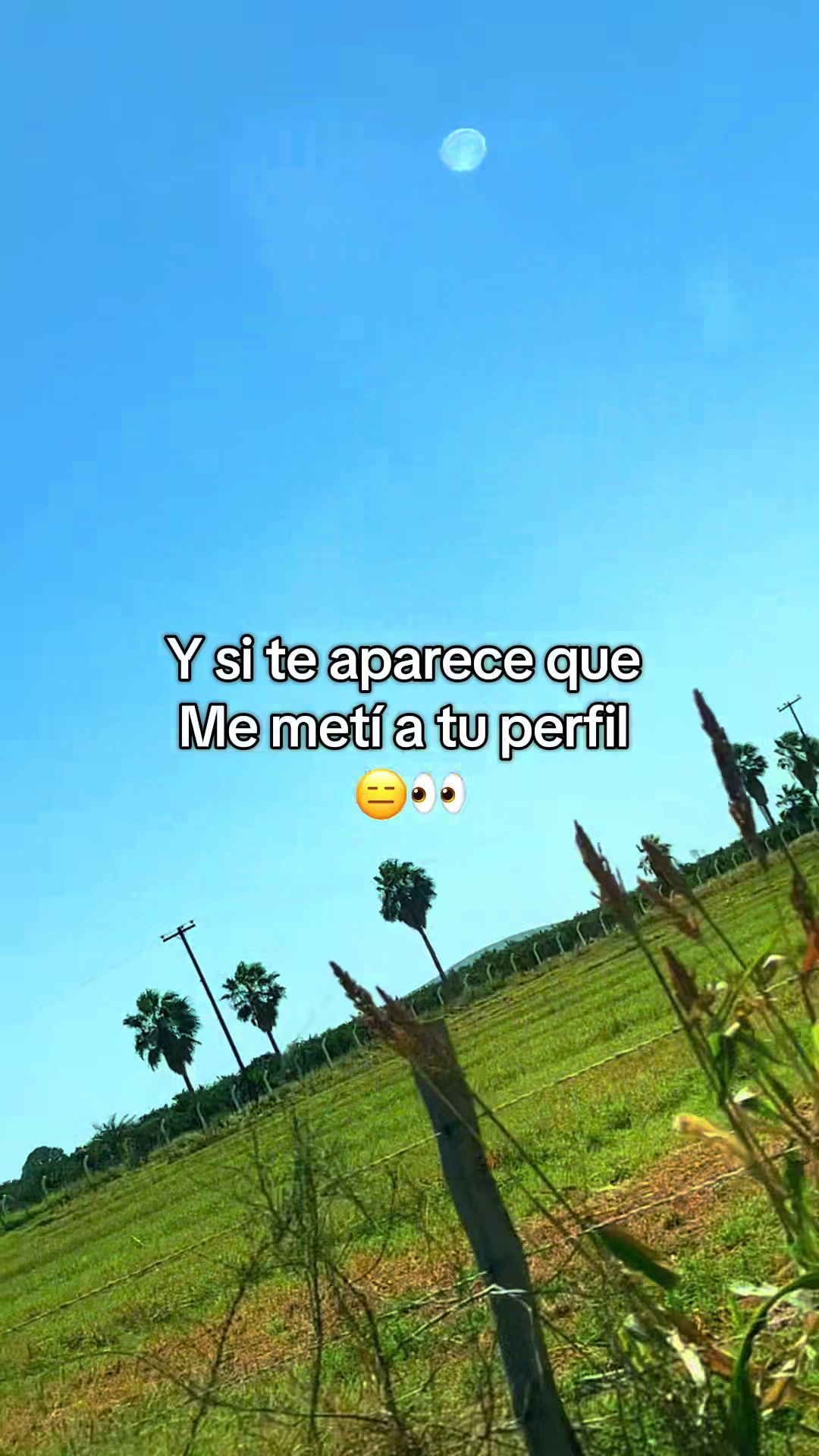 @🌻>  ᗰƳᖇᎥᗩᗰ  <🌻