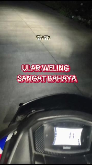 @Kangsu(Akang Sunarya)