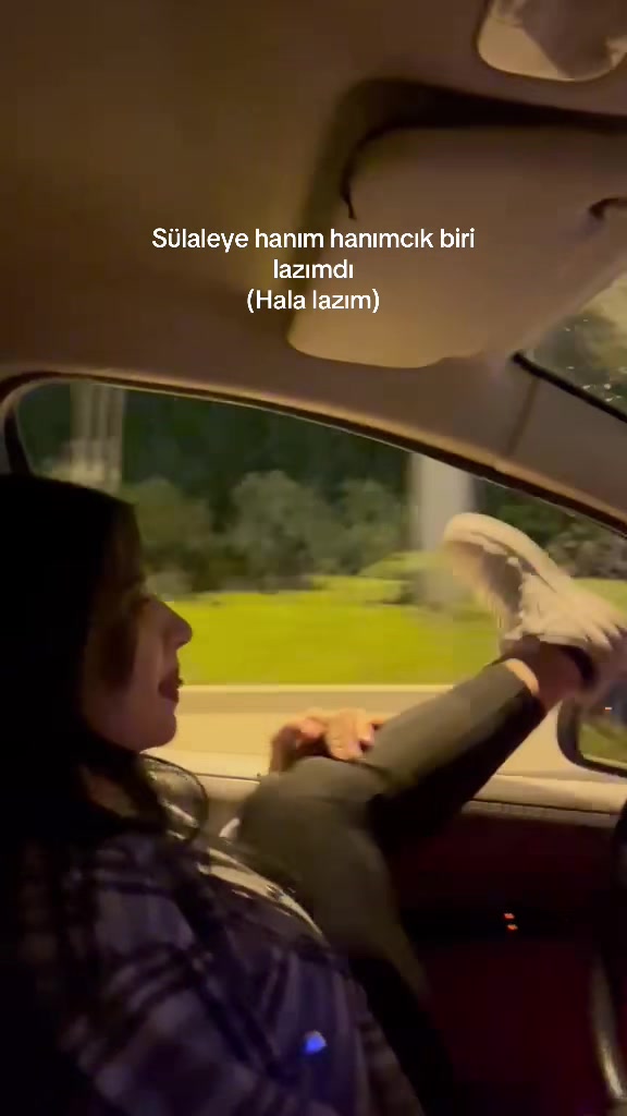 @newwraa_