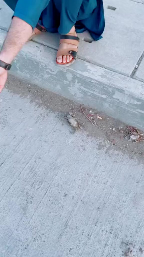 @gulzebJaniUdass