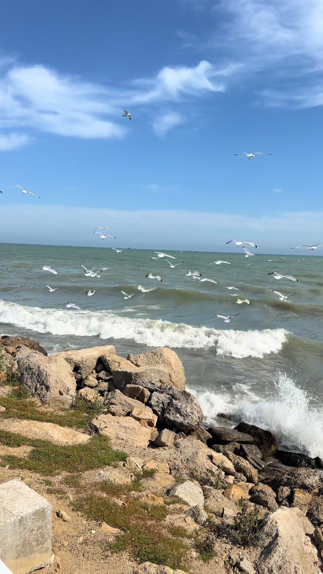 @MsBabayeva