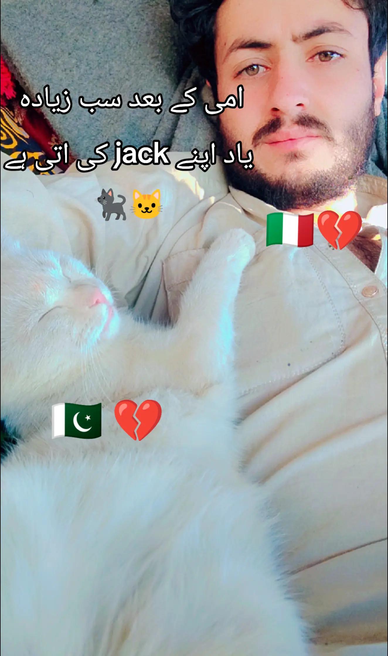 @Murtaza Ali 💫 🇧🇪🫅
