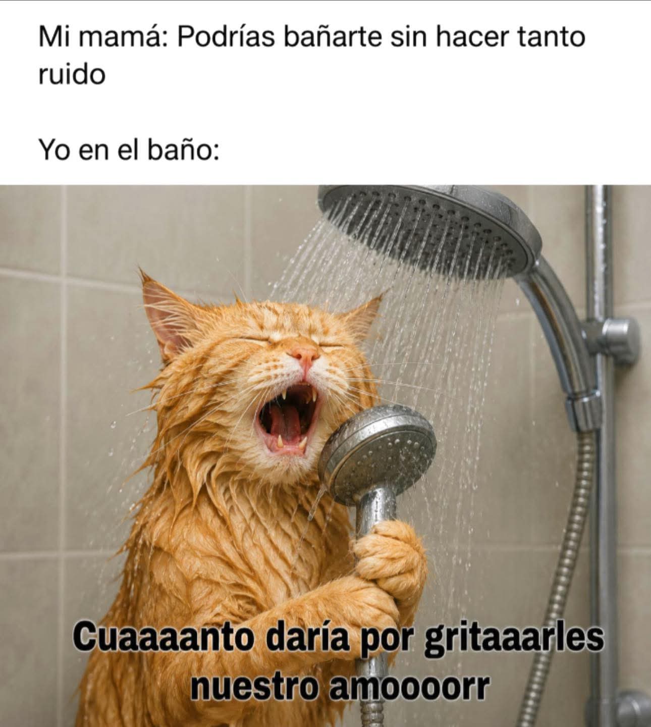 @Eli M&aacute;rquez