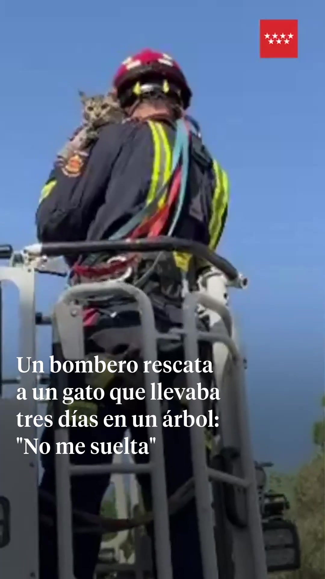 @La Vanguardia 🗞