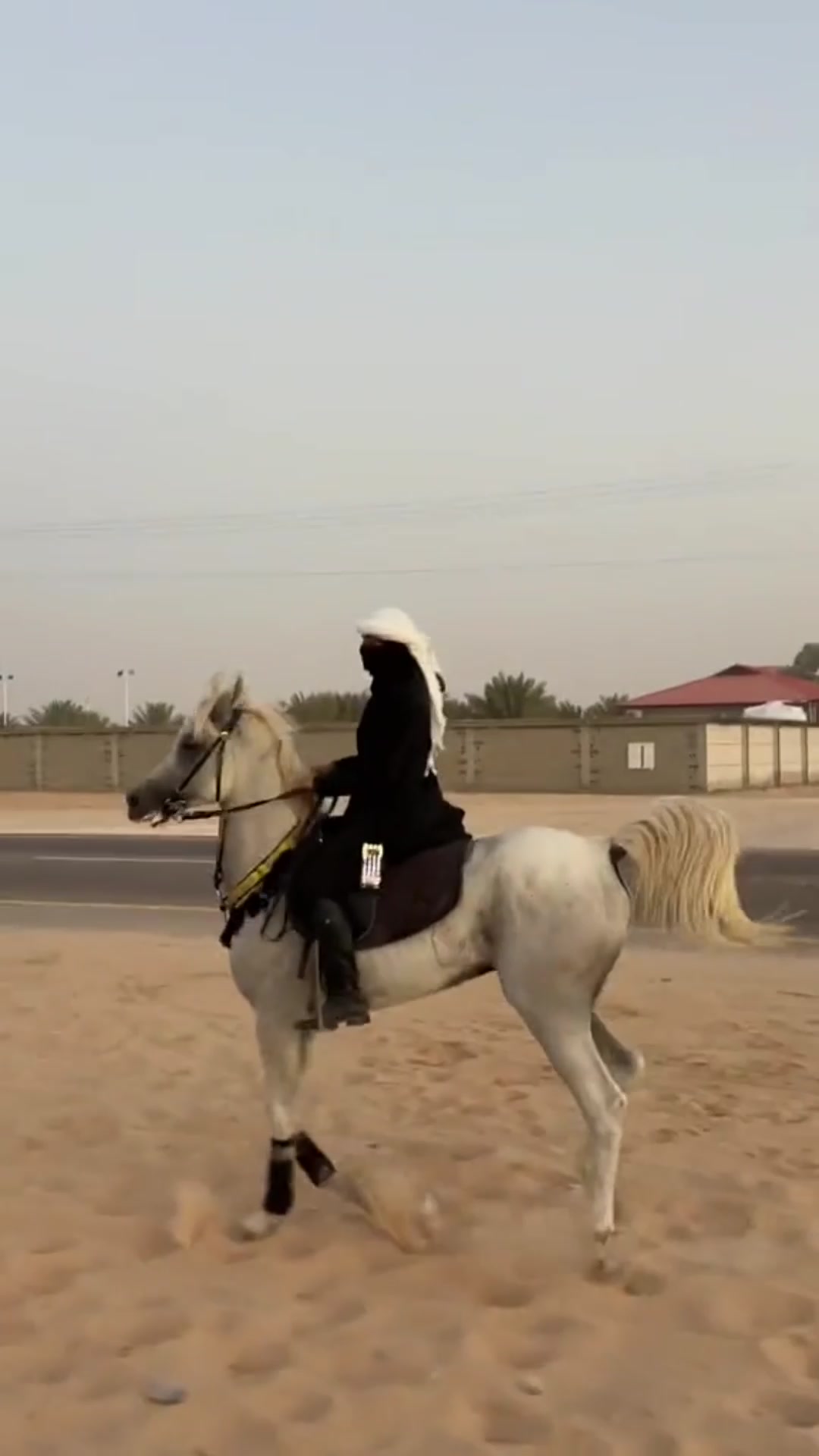 @فَآطُمہ صالح 🐎