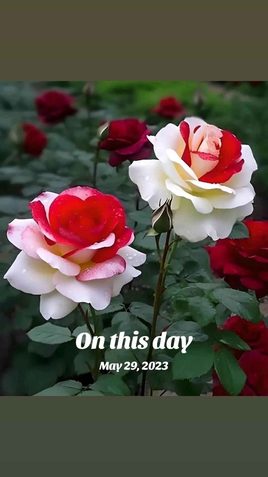 @மானமுள்ள தமிழச்சி