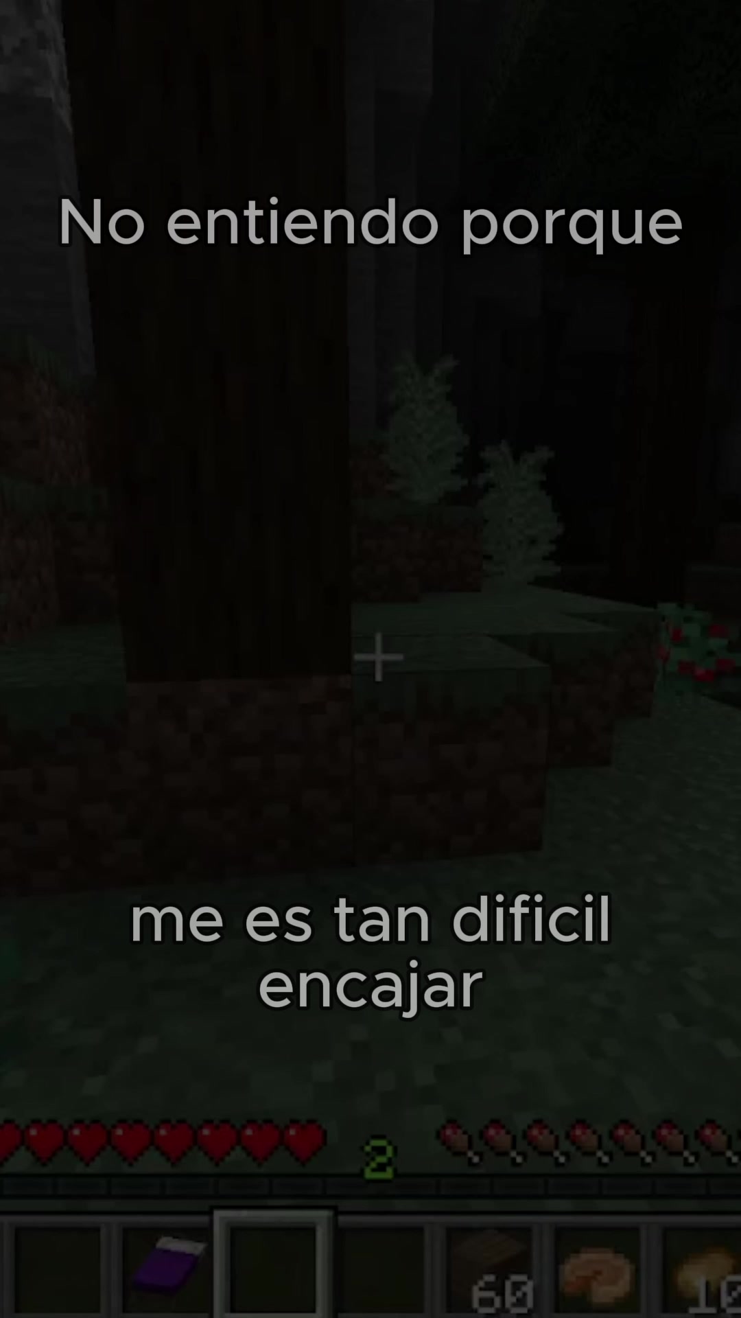 @nicozz41