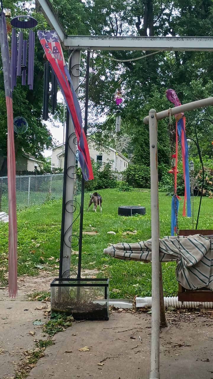 @Ozzy from St Louis