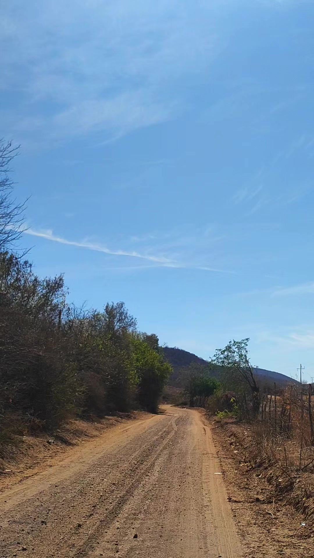 @Que bonito es lo 🐺 bonito🤠