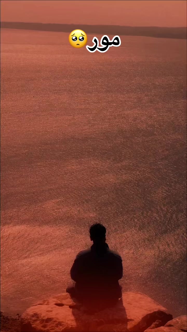 @shirzadnoorwali